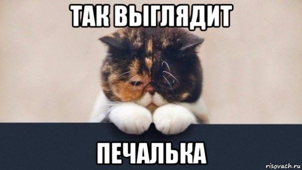 Печалька Мем