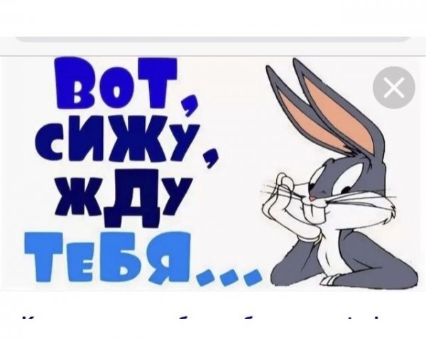 Я жду тебя
