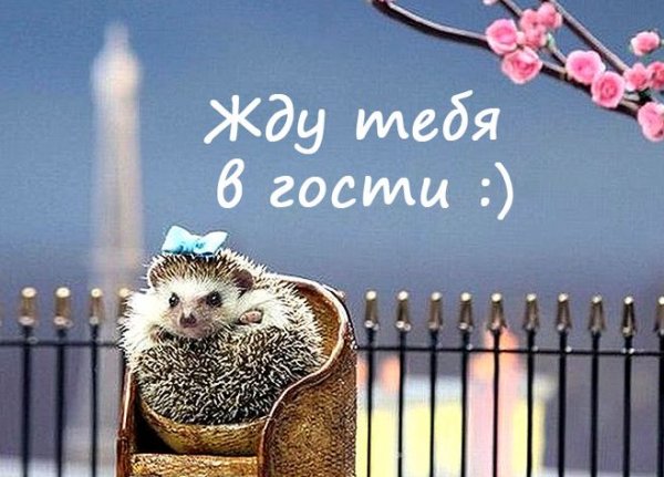Ожидание прикол Ждун