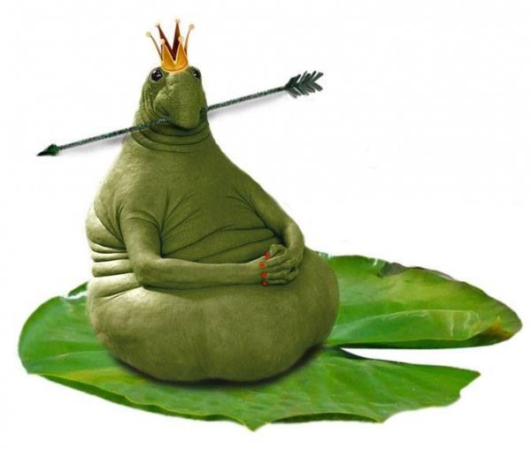 Ждун я жду