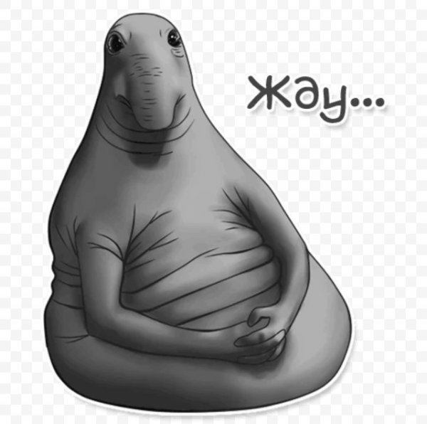 Ждун приколы