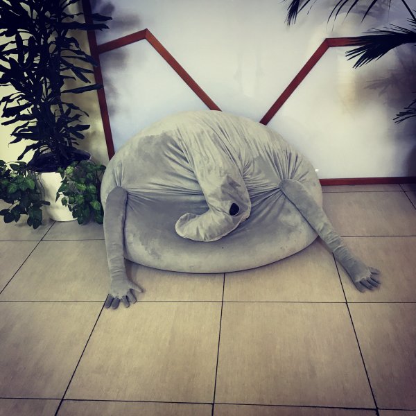 Ждун приколы