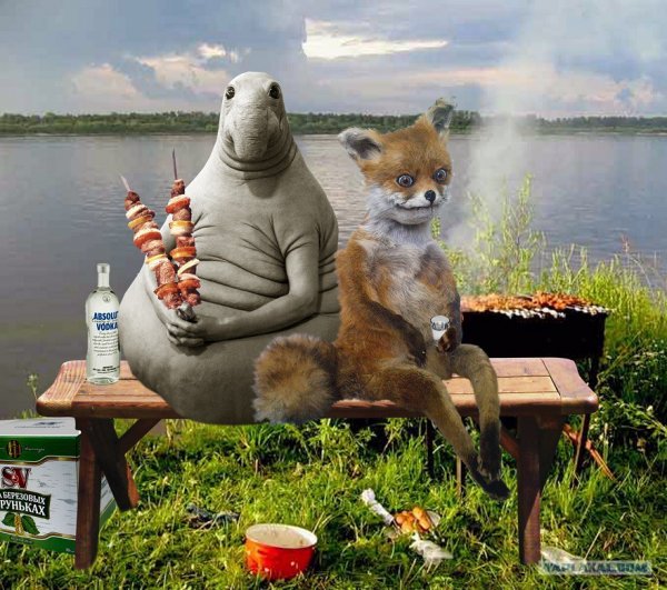 Ждун Мем