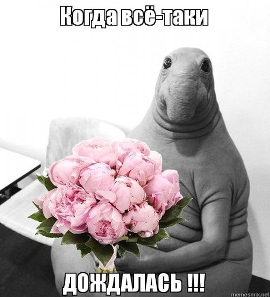 Я жду тебя