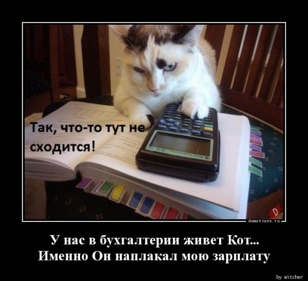 Приколы про бухгалтерию в картинках