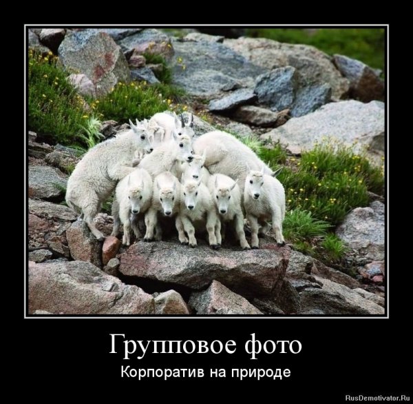 Корпоратив демотиваторы