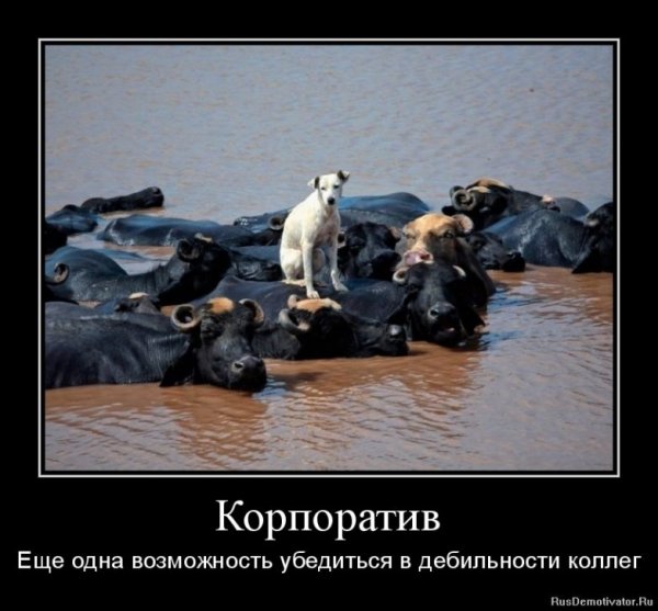 Открытки про корпоратив прикольные