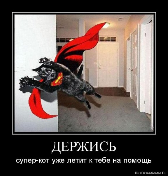 Упертый демотиватор
