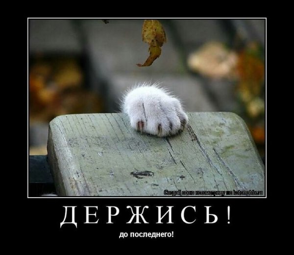 Открытка держись