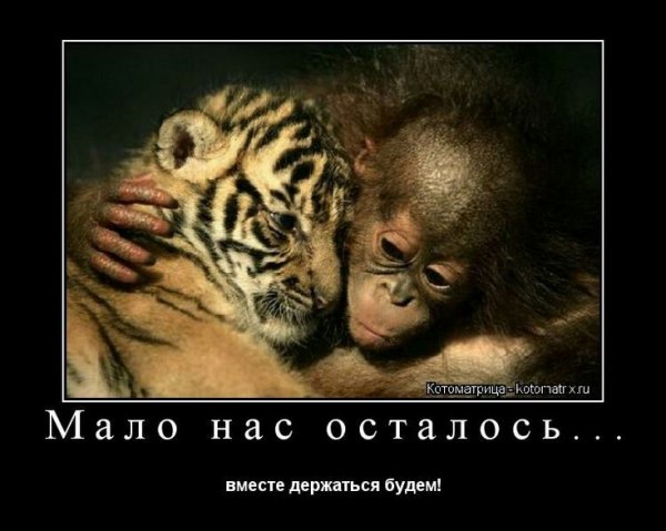 Мало нас осталось вместе держаться будем