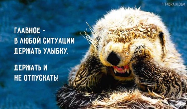 Веселые советы на каждый день
