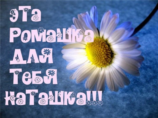 Ромашки для Наташки с днем рождения