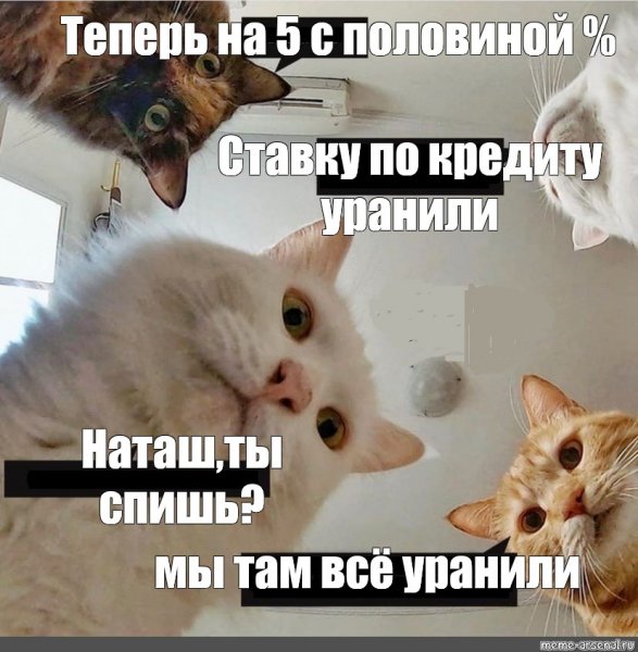 Оля вставай мы все уронили
