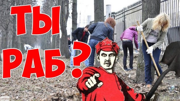 Мемы про субботник
