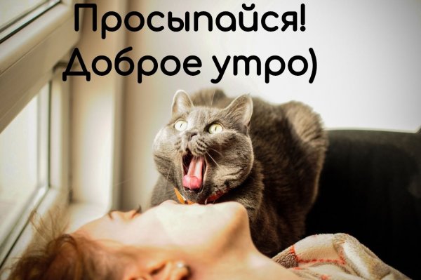 Доброе утро просыпайся