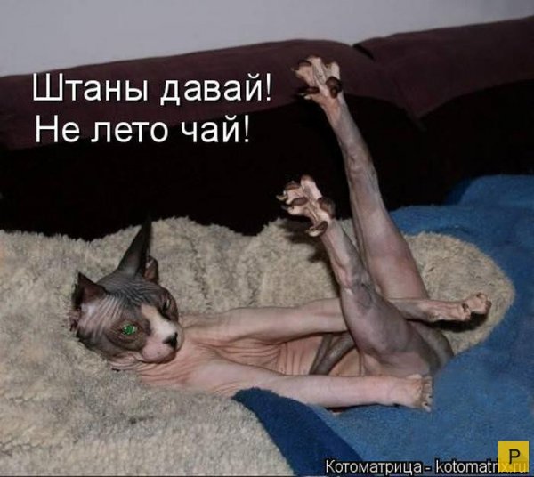 Проснулись подтянулись