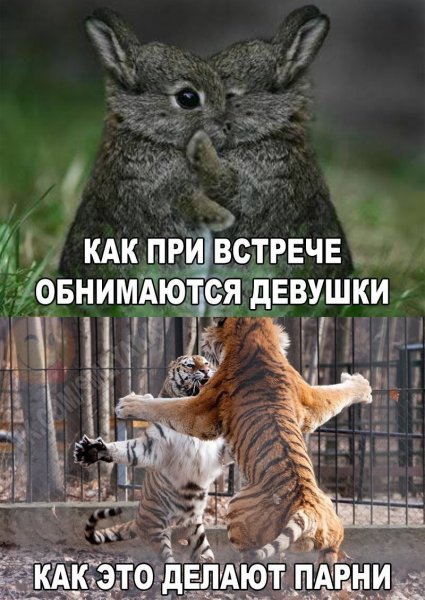 Обнимашки прикольные с надписью