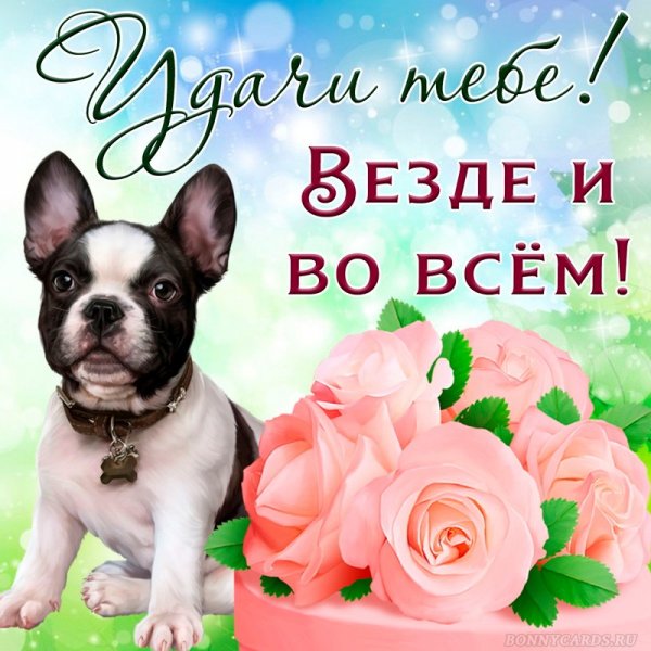 Пожелания удачи и успеха