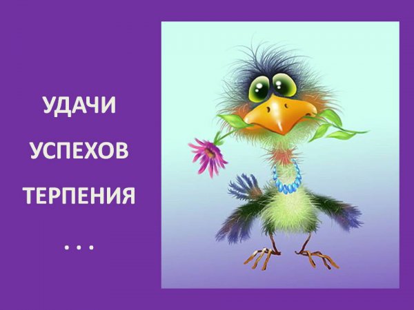 Удача и успех