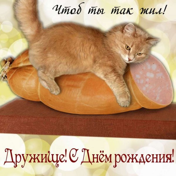 Прикольные открытки