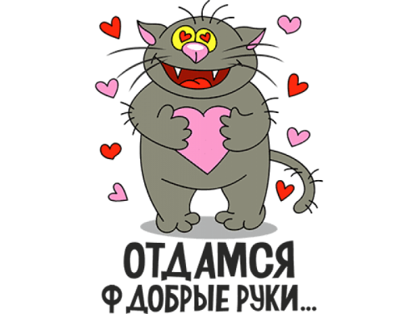 Стикеры для любимого