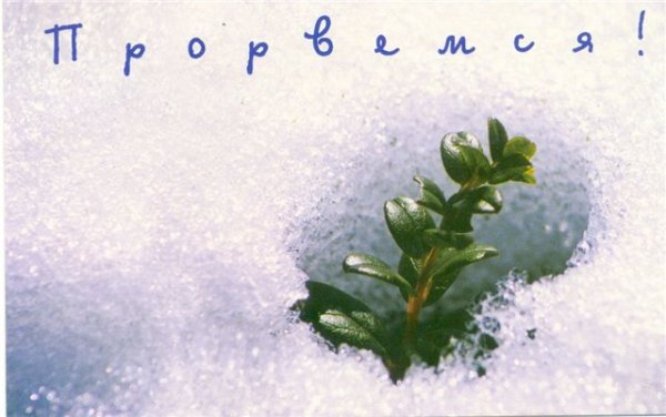 Прорвемся картинки