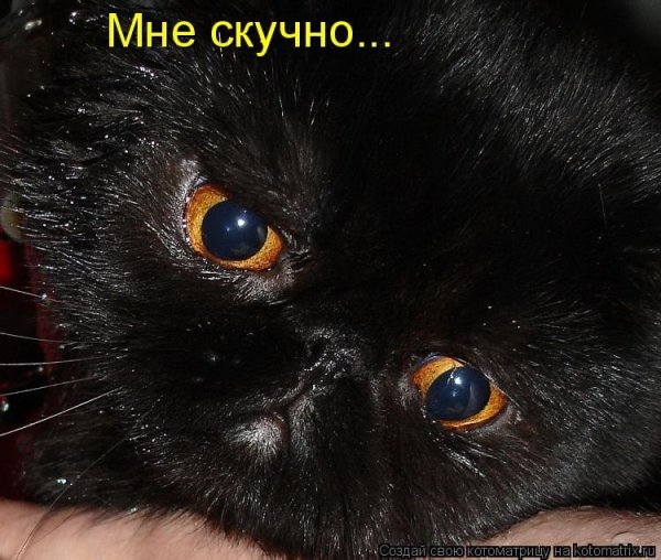 Мне скучно