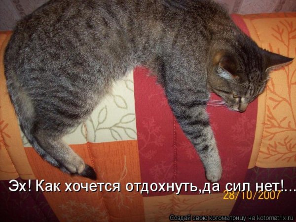 Мне скучно и грустно