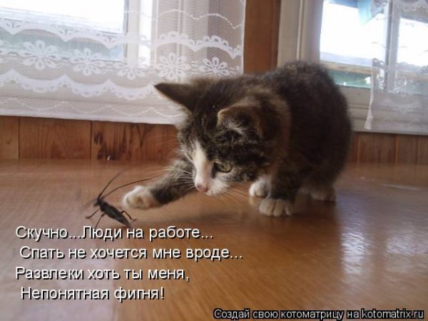 Скучно приколы картинки