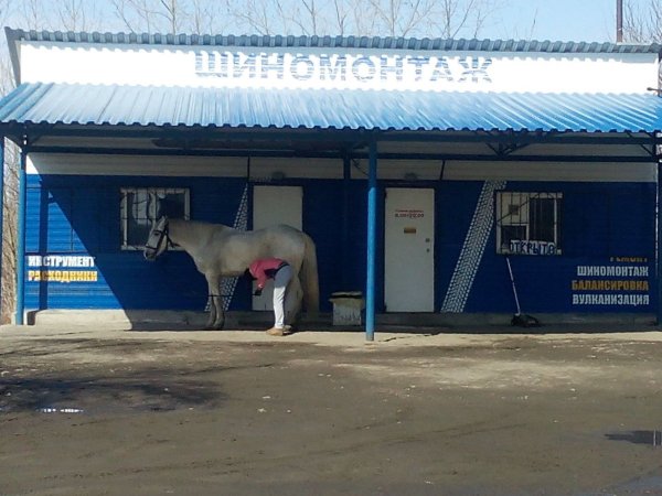 Шутки про шиномонтаж