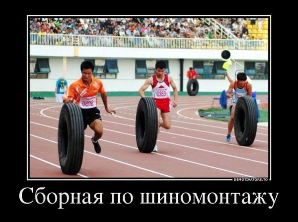 Шины демотиваторы