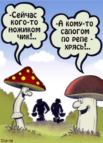 Грибы прикол