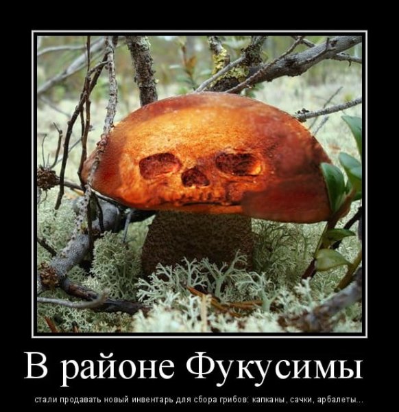 Грибы прикол