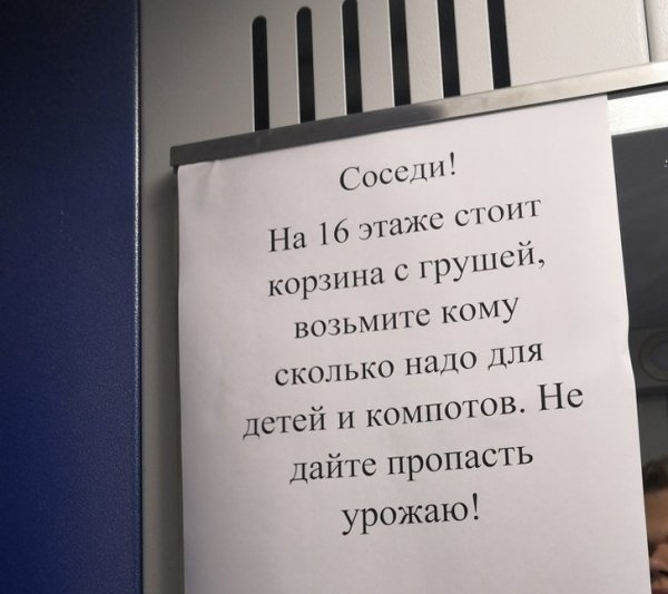 Приколы про соседей в картинках