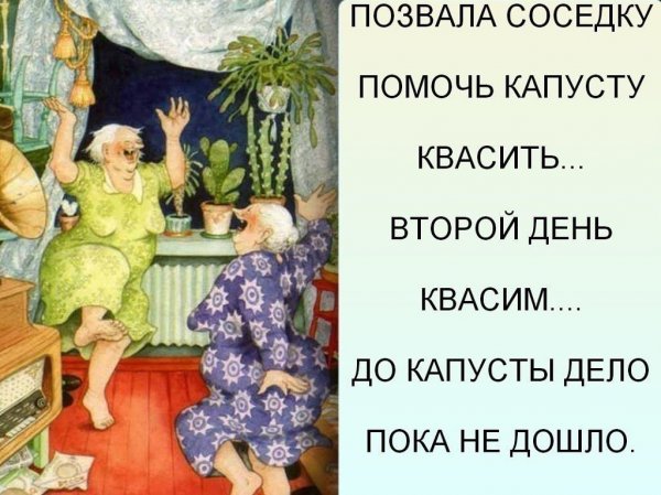 Приколы про старушек