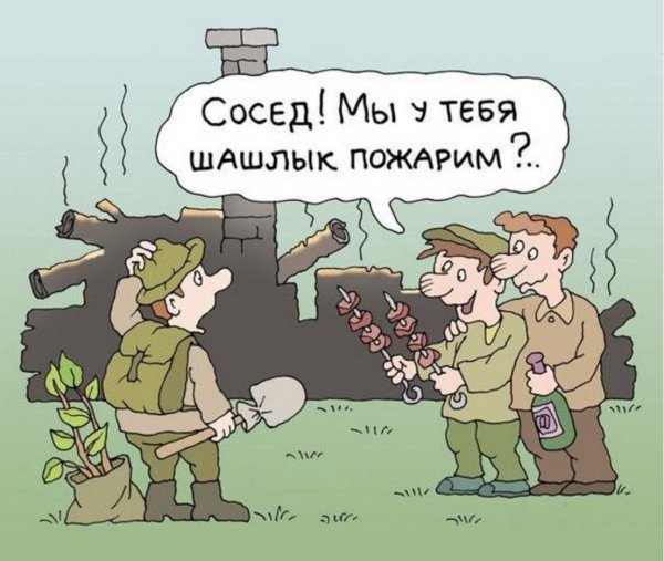 Анекдоты про шашлык в картинках