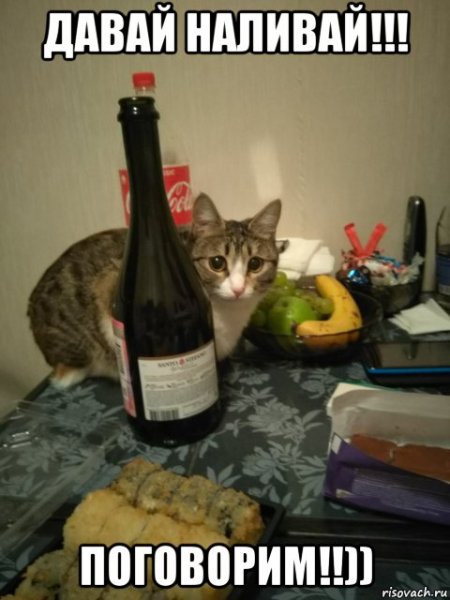 Давай Наливай