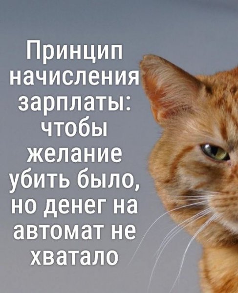 Приколы про зарплату