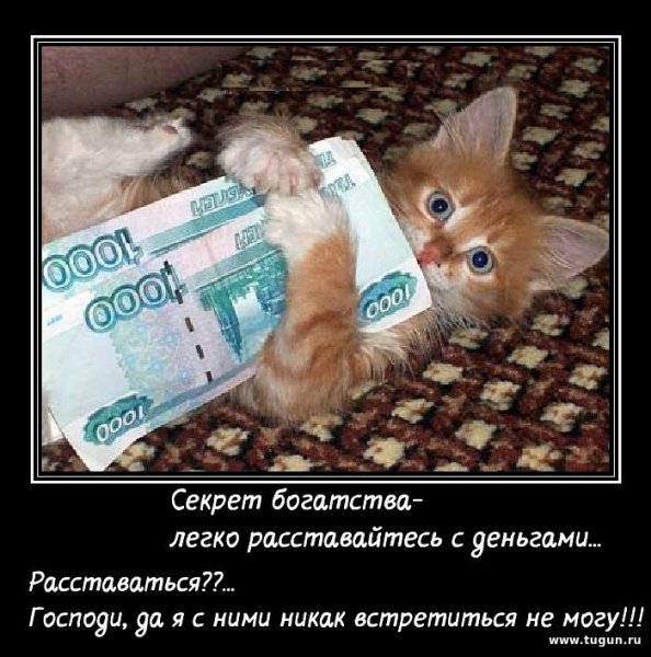 Маленькая зарплата карикатура