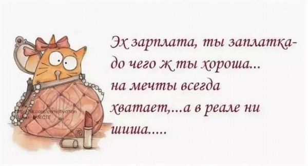 Шутки про зарплату