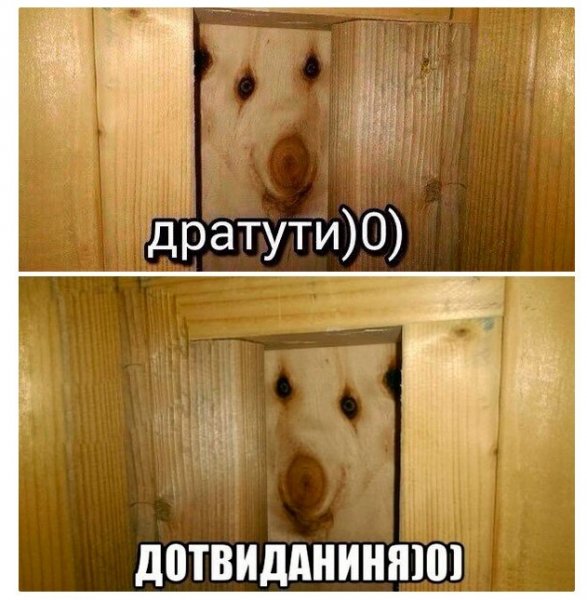 Дратути Мем