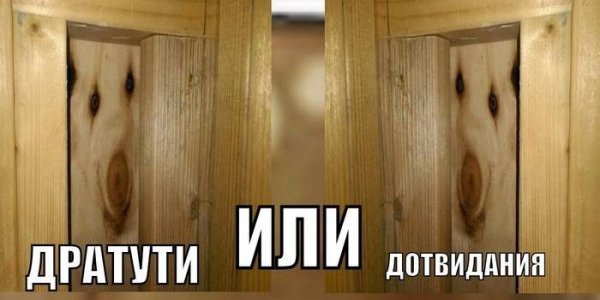 Дратути собака