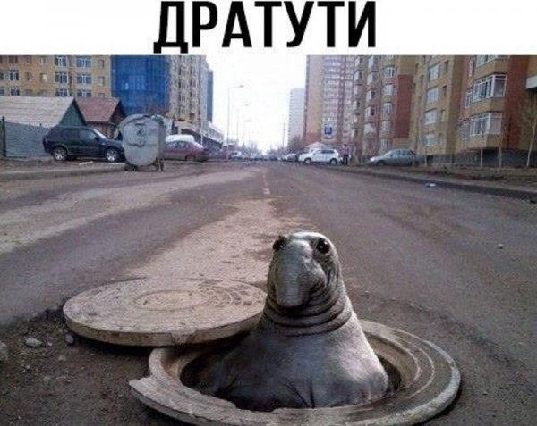 Дратути дратути