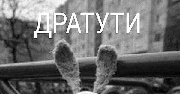 Открытка дратути