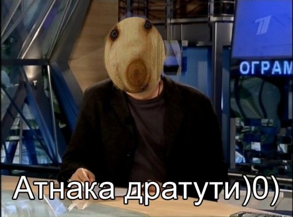 Дратути собака