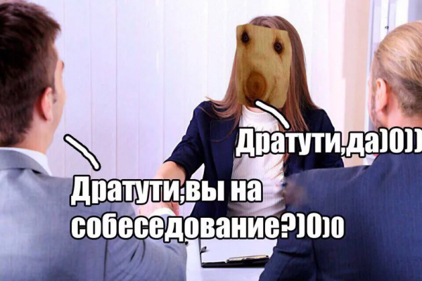 Дратути кот