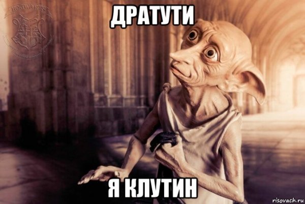 Мемы дратути