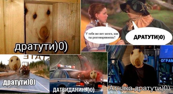Мемы 2016