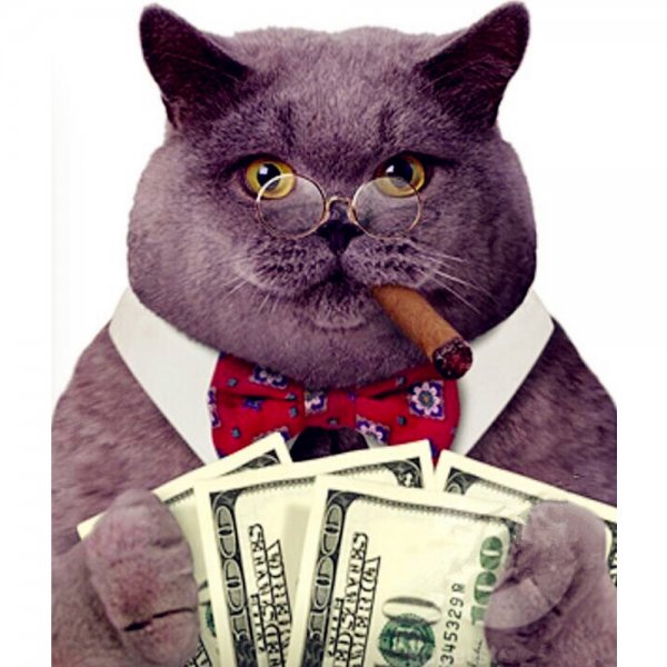 Денежный кот
