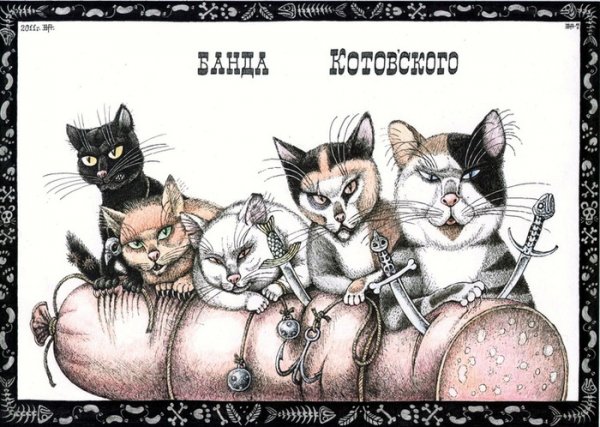 Коты мы банда